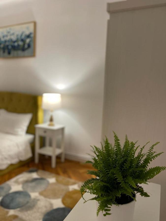 Cityviews Apartment Cluj エクステリア 写真