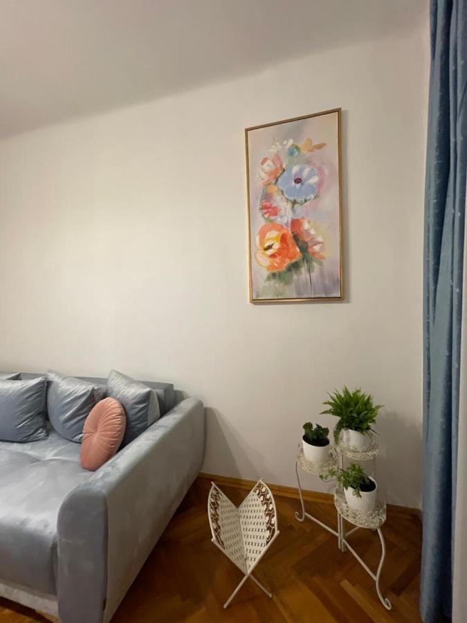 Cityviews Apartment Cluj エクステリア 写真
