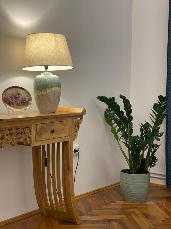 Cityviews Apartment Cluj エクステリア 写真
